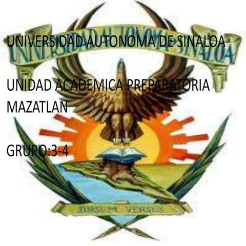 Exposicion pensamiento 3 4