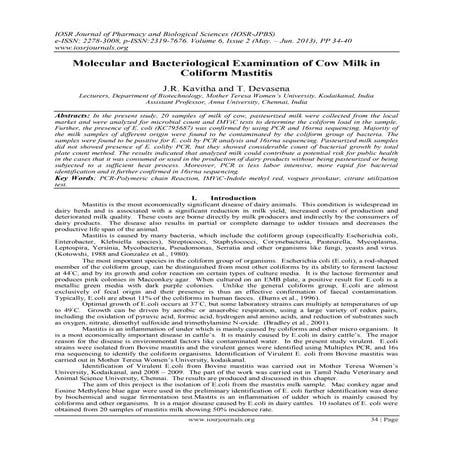 Molecular and Bacteriological Examination of Cow Milk in Coliform Mastitis