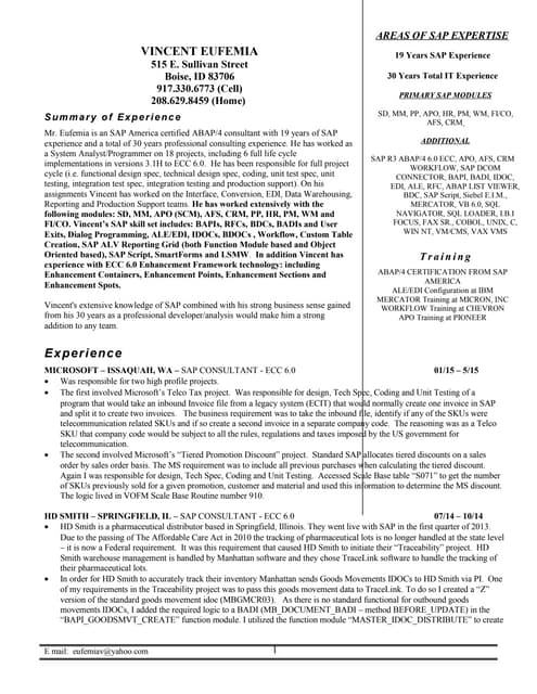 Eufemia Vincent Resume
