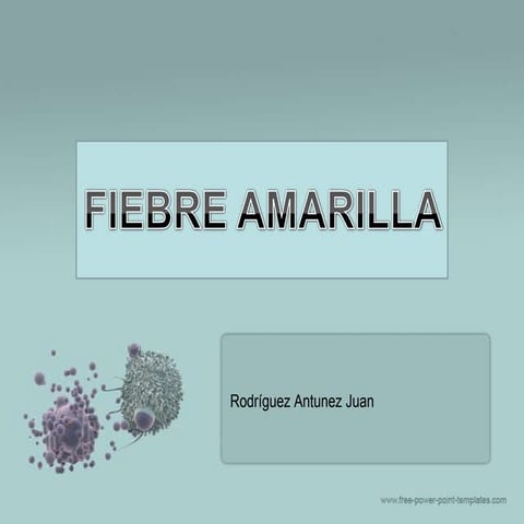 Fiebre Amarilla