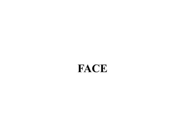 Face 111