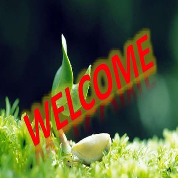 Factor affecting of seed germination