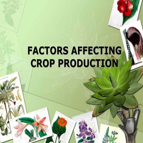 FACTORS AFFECTING CROP PRODUCTION PPT SLIDESHARE