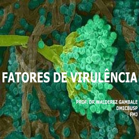 Fatores de virulência