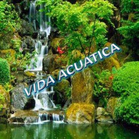 Fauna              03 y 26