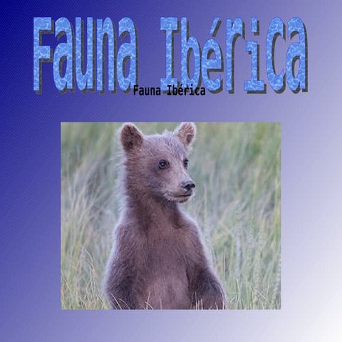 Fauna iberica