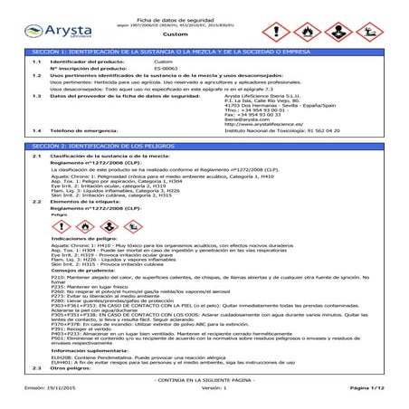 Hoja de Seguridad Custom