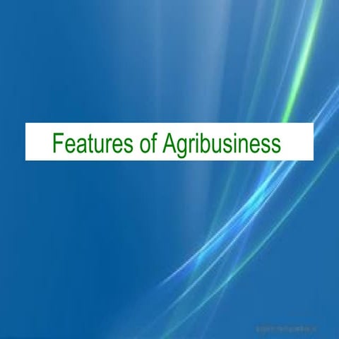 Features of agribusiness