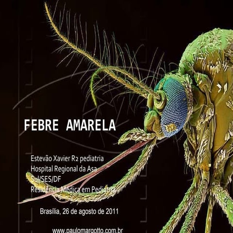 Febre amarela (1)