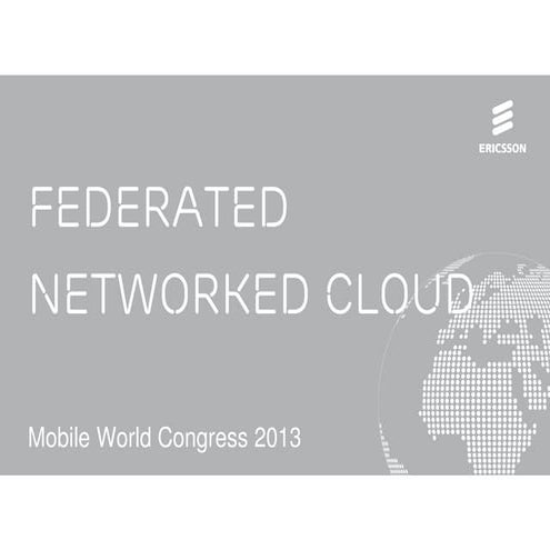 Federated Networked Cloud