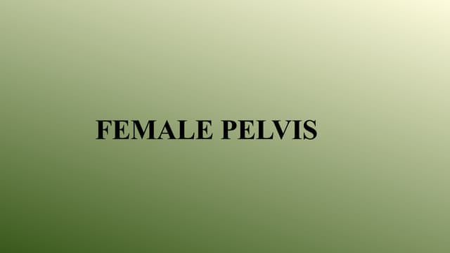 FEMALE PELVIS.female reproductive system