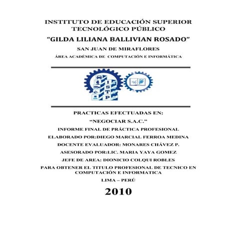 Informe de Practica de Ferroa