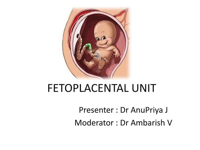 Fetoplacental unit