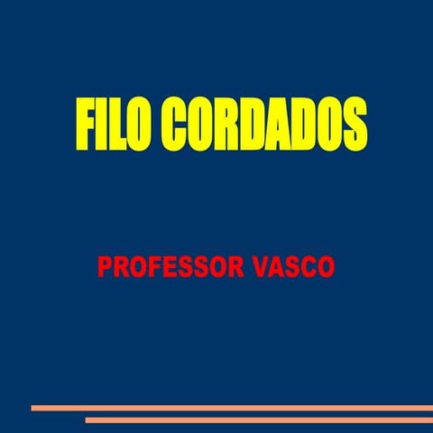 Filo Cordados (Power Point)