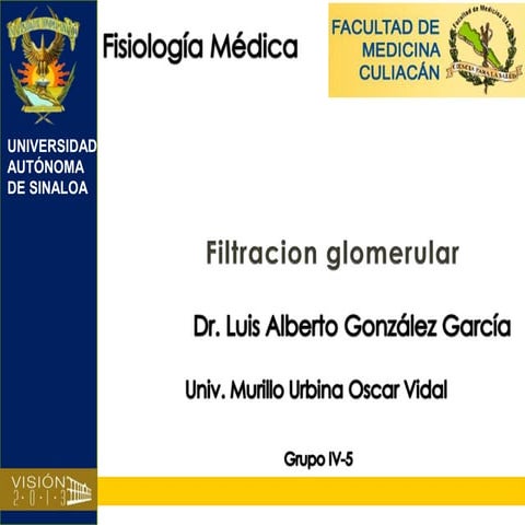 Filtracion glomerular