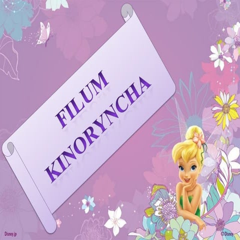 Filum kinorhyncha