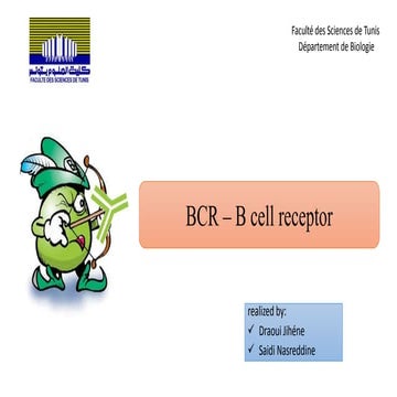 BCR 