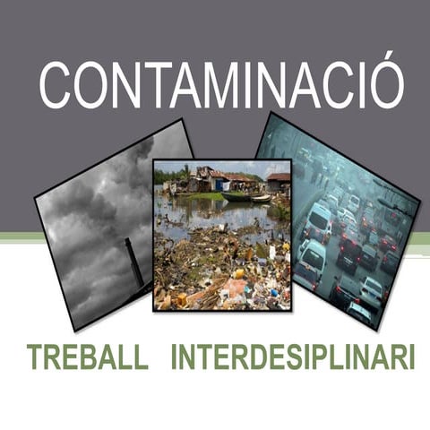 Treball interdisciplinari