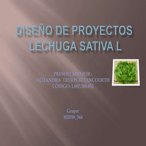 Final diseno de proyectos (1)