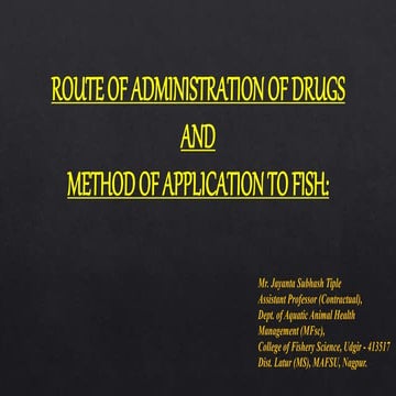 ROUTE OF ADMINISTRATION OF DRUGS AND METHOD OF APPLICATION TO FISH