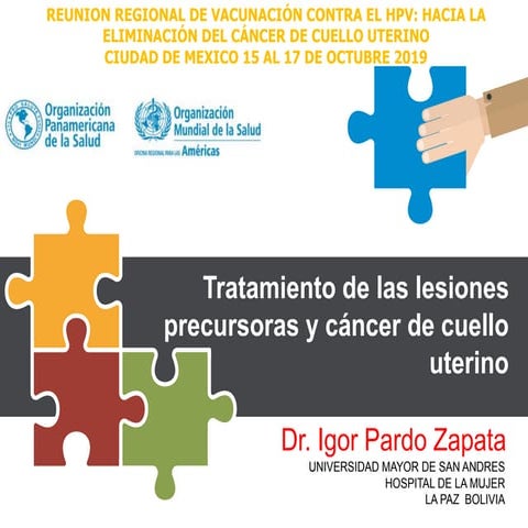 Tratamiento de lesiones precursoras del cáncer de cuello uterino  Dr. igor pa...