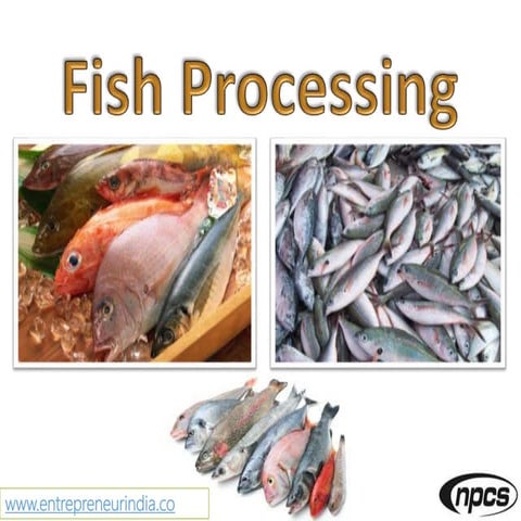 Fish Processing