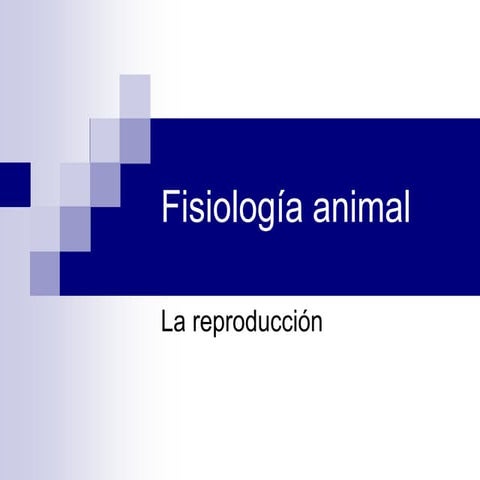 Fisiologia animal reproduccion
