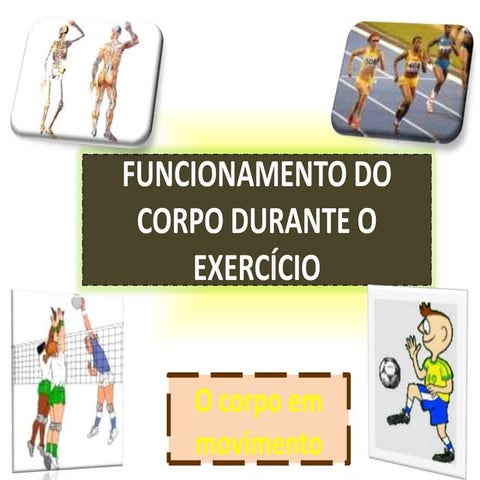 Fisiologia do exercício 1º ano