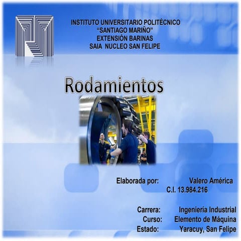 Flash video de rodamientos 1