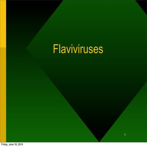 Flavivirus