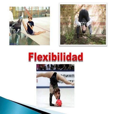 Flexibilidad