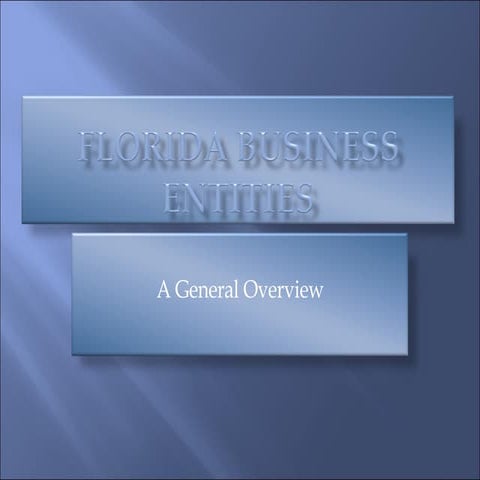 Florida Business Entities