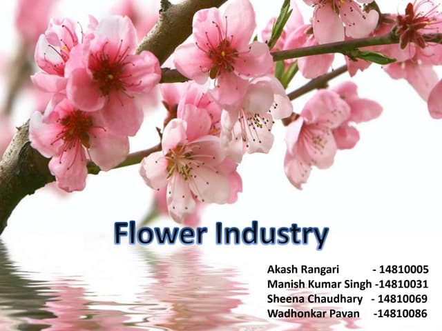 Supply Chain Management FLOWER Industry