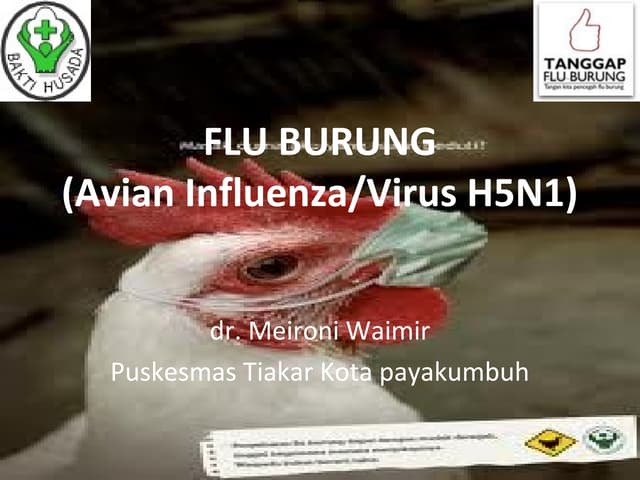 Flu burung