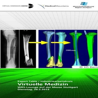 Virtuelle Techniken in der Medizin & Medizintechnik am 26. Februar 2013