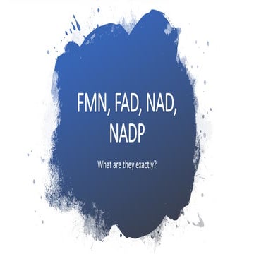 FMN, FAD, NAD, NADP - what are they? 