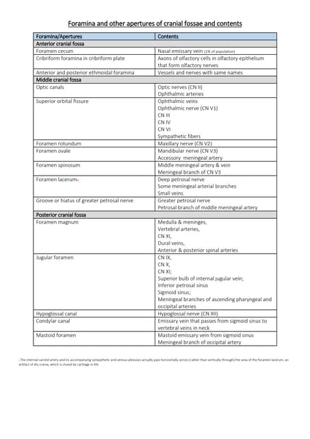 Foramina and other apertures of cranial fossae and contents