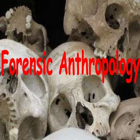 Forensic Anthropology