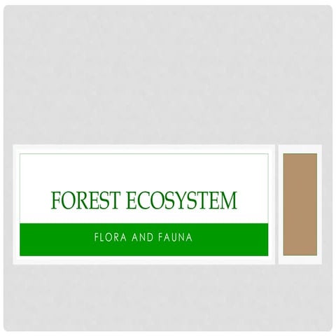 Forest Ecosystem