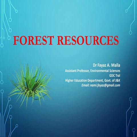 Forest resources