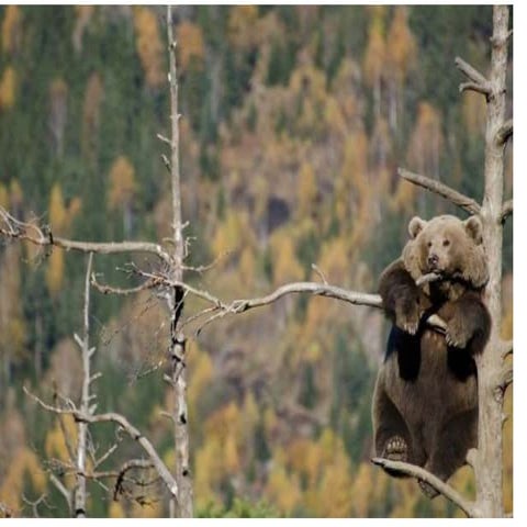 Fotos Impresionantes