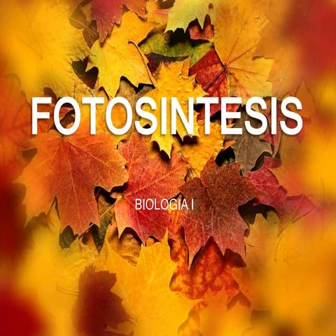 Fotosintesis