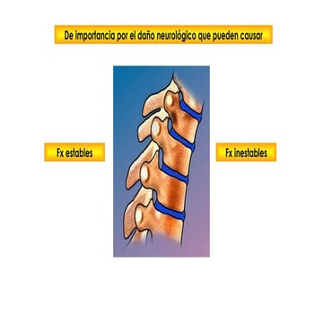 Fisiopatología de fracturas y lesiones óseas traumáticas