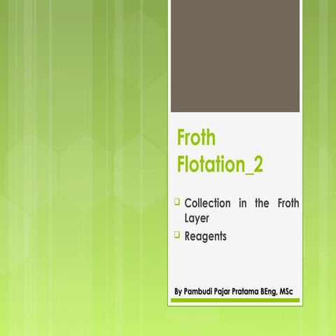 Froth flotation 2