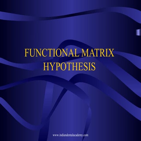Functional matrix hypothesis
