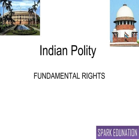Fundamental rights