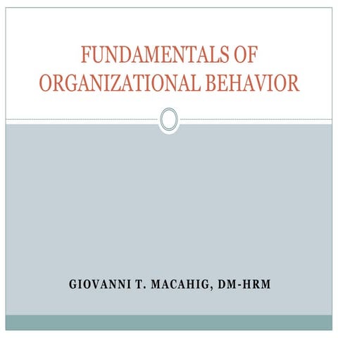 Fundamentals of organizational behavior ppt