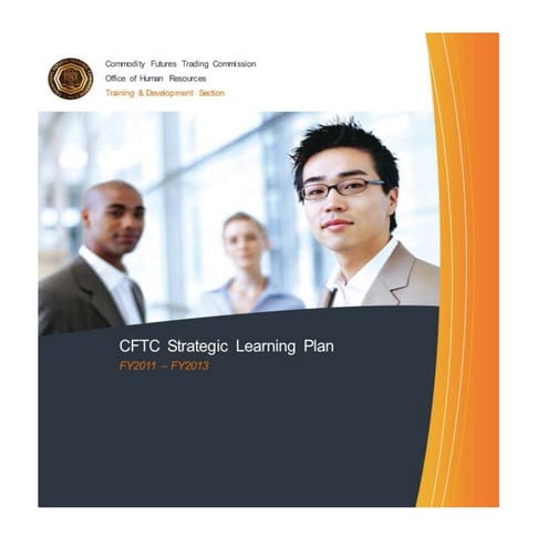 Fy2011 strategic learning plan