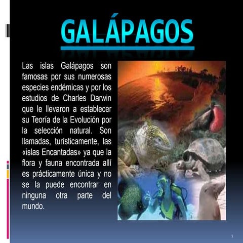 Galapagos islands