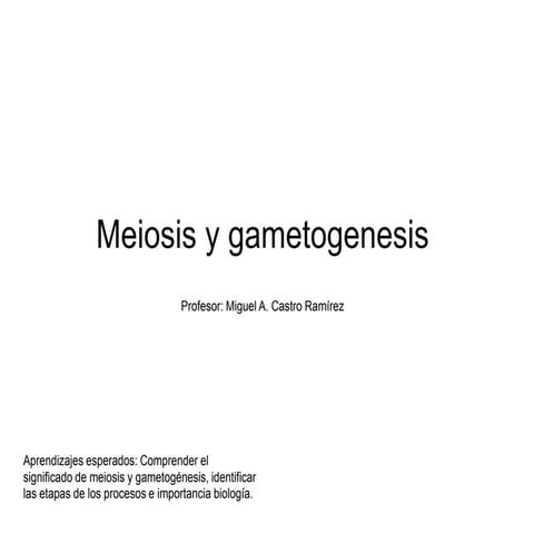 Gametogénesis